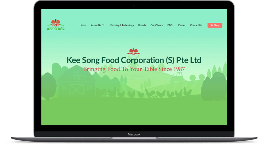 Innovative Affordable Top Seo Company In Toronto Fenzo Digital