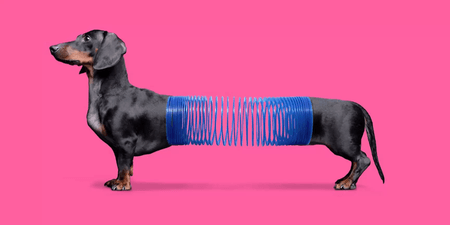 Award Winning Digital Agency Toronto Fenzo Digital